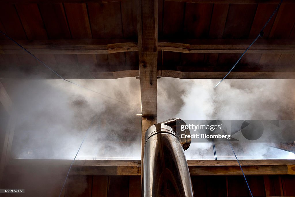 Maple Syrup Production in Ohio