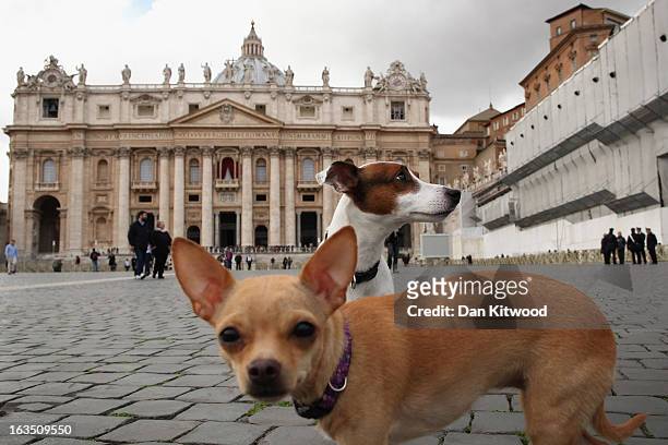 Dogs run around St Peter's Square on March 11, 2013 in Vatican City, Vatican. Cardinals are set to enter the conclave to elect a successor to Pope...