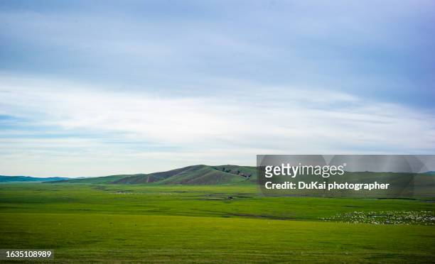 hulunbuir grassland in inner mongolia - ステップ地帯 ストックフォトと画像