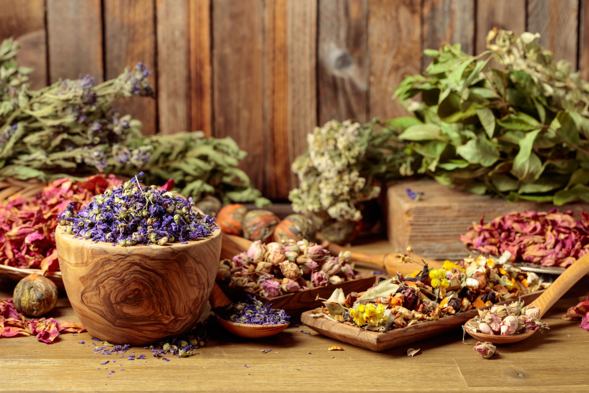 herbs winter wellness
