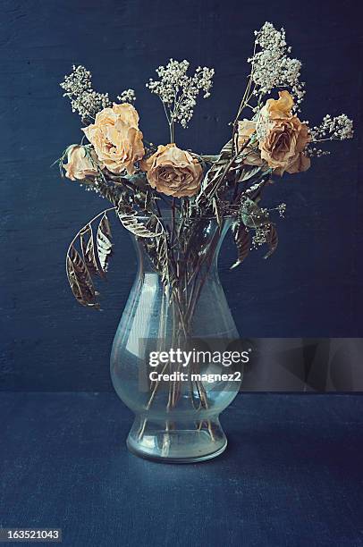 dried yellow roses in a vase - dry rot stock pictures, royalty-free photos & images