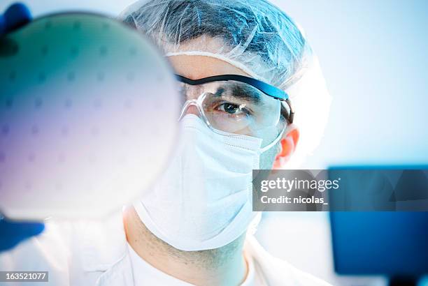 silicon wafer - cleanroom stock pictures, royalty-free photos & images