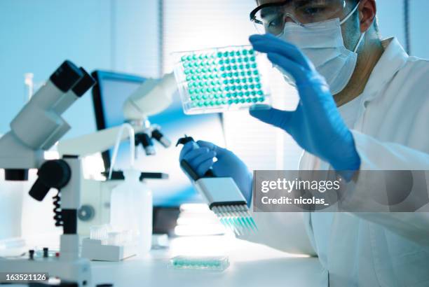 scientific research - microplate stock pictures, royalty-free photos & images