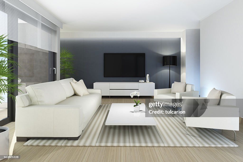 Modern TV Room