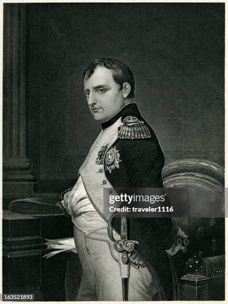 napoleon bonaparte - napoleon stock-grafiken, -clipart, -cartoons und -symbole