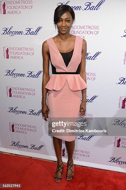 Model Oluchi Onweagba attends The Endometriosis Foundation of America's Celebration of The 5th Annual Blossom Ball at Capitale on March 11, 2013 in...