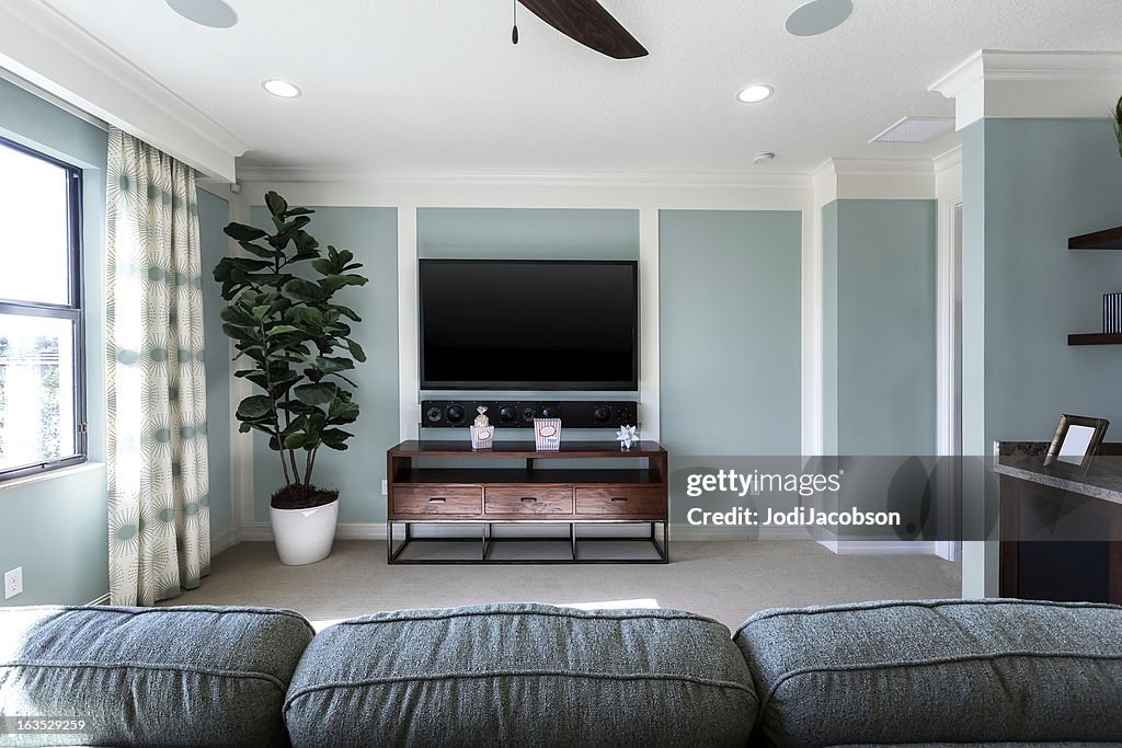 Home theater room