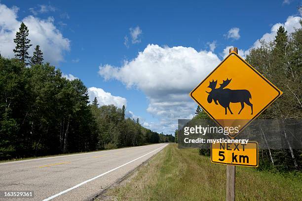 riding mountain national park - animal crossing sign stockfoto's en -beelden