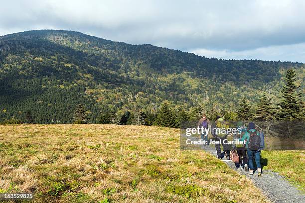 wanderer mit rucksäcken auf dem appalachian trail - roan mountain staatspark stock-fotos und bilder