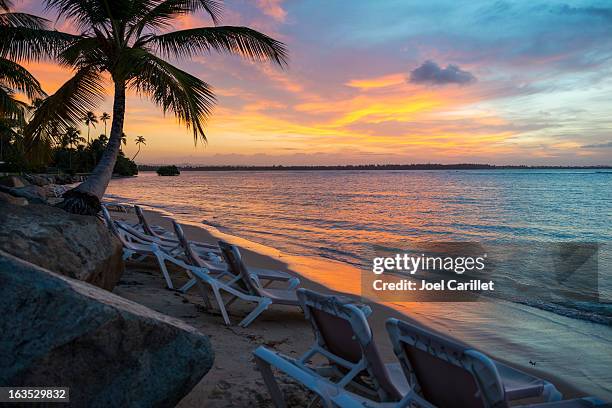 sunset on tropical beach in puerto rico - puerto rico palm tree stock pictures, royalty-free photos & images