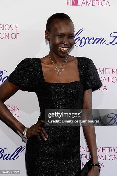 Model Alek Wek attends The Endometriosis Foundation of America's Celebration of The 5th Annual Blossom Ball at Capitale on March 11, 2013 in New York...