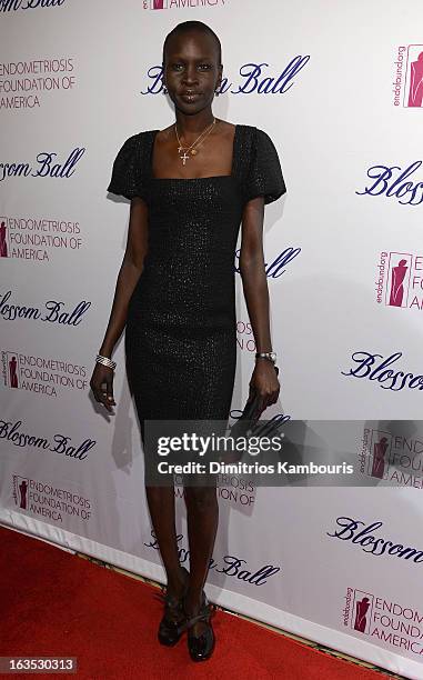 Model Alek Wek attends The Endometriosis Foundation of America's Celebration of The 5th Annual Blossom Ball at Capitale on March 11, 2013 in New York...