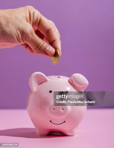 hand putting coin on piggy bank - spaarvarken stockfoto's en -beelden