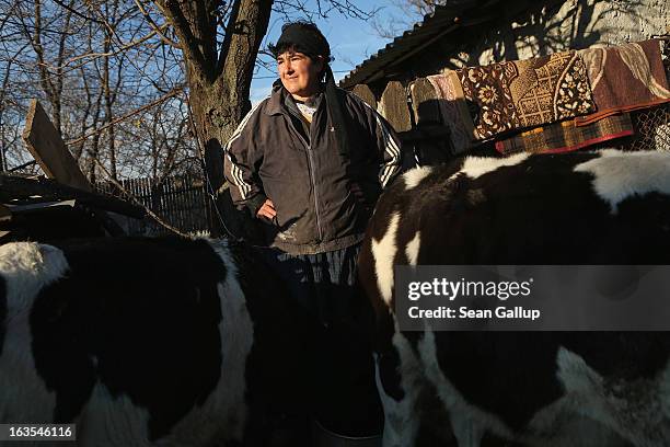 Ethnic Roma Mioara Costea stands among her calves on her farm on March 11, 2013 in Dilga, Romania. Mioara and her husband Costel, with their...