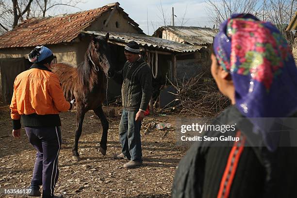 Ethnic Roma Vasile and Valentina Ilie watch as a local veterinarian arrives to administer medicine to one of the couple's two horses that is...