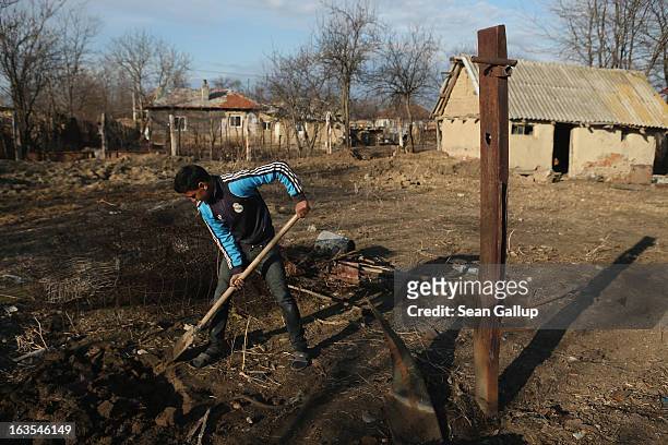Ethnic Roma Florin Costea digs out iron columns and other builng scraps that were part of a shed to make way for a vegetable garden on the property...