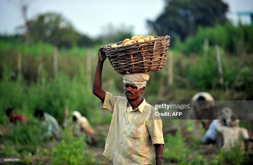 INDIA-AGRICULTURE