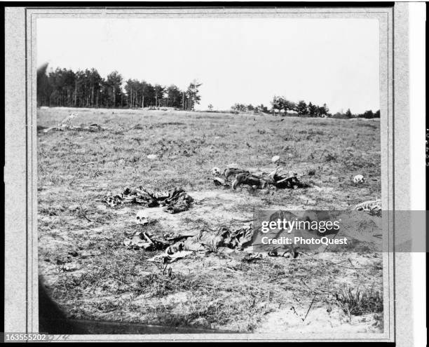 View of the skeletons of dead soldiers lying on the battlefiled of Gaines' Mill, Virginia, 1862.