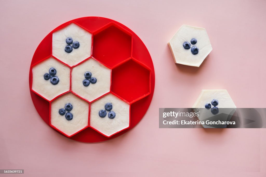 Frozen pancakes with blueberry