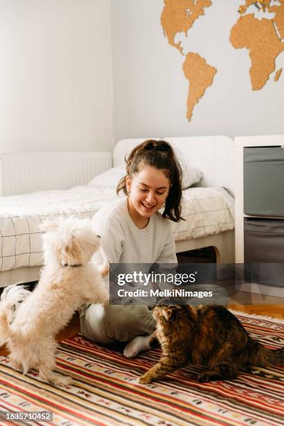 teenager-mädchen, das mit ihren haustieren in ihrem zimmer spielt - girls cuddling cat stock-fotos und bilder