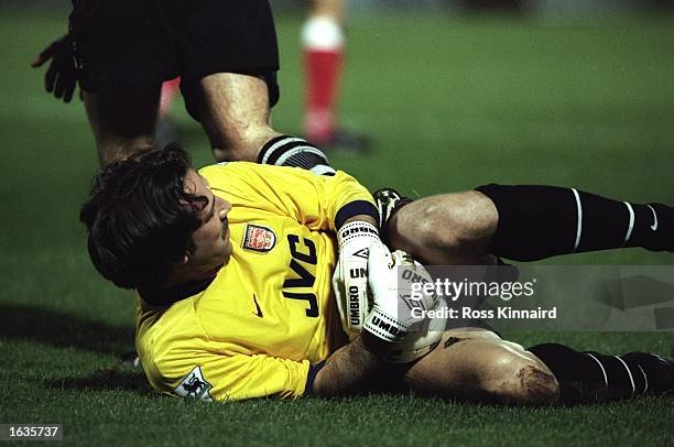 David Seeman 113 David Seaman 1998 Photos & High Res Pictures - Getty Images