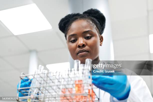 low angle view of young female scientist holding tray of medical samples in laboratory - revelation stock pictures, royalty-free photos & images