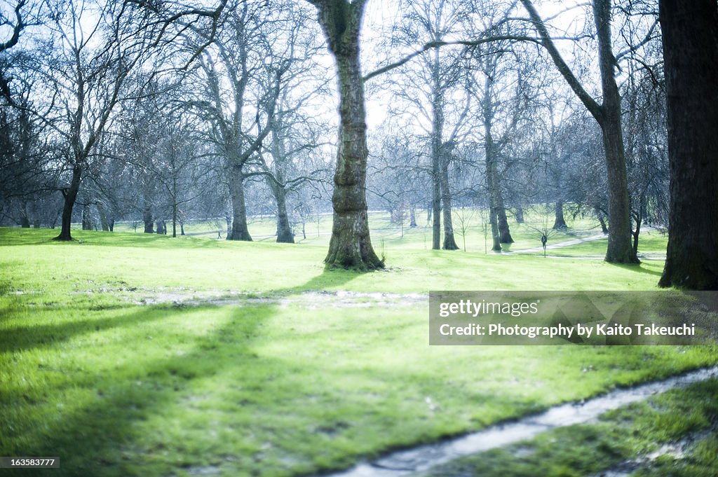 Park in London