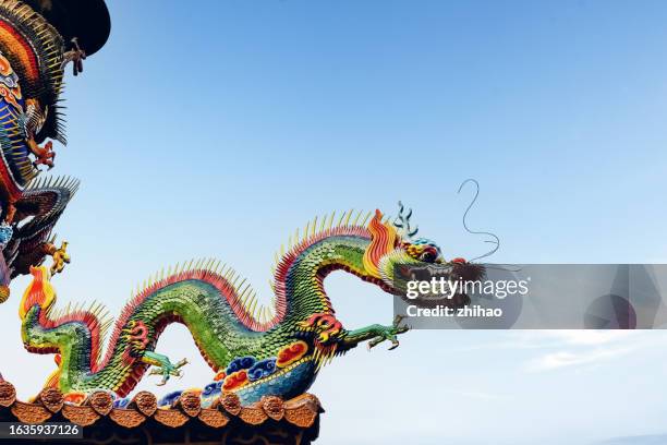 a dragon on the roof of a traditional chinese building - chinese dragon stock pictures, royalty-free photos & images