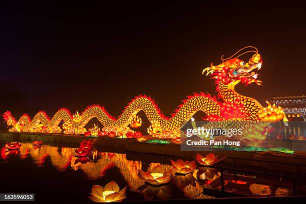 dragon lantern for celebrating spring festival - kung hei fat choi stock pictures, royalty-free photos & images