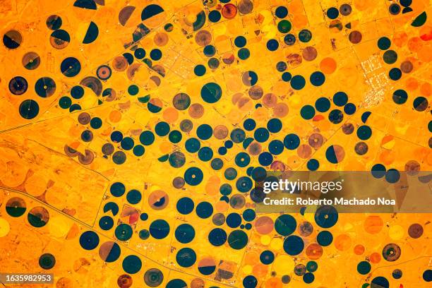 crop circles in saudi arabia - círculo nas plantações - fotografias e filmes do acervo