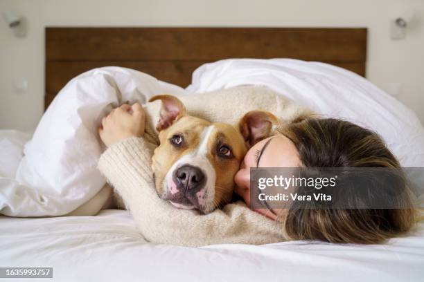 unrecognizable woman kissing her pitbull dog lie down on the bed. - piumone foto e immagini stock