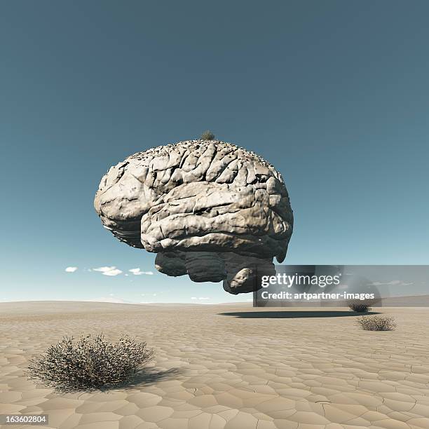 a fossilized brain in a dried out desert - dry brush stock pictures, royalty-free photos & images
