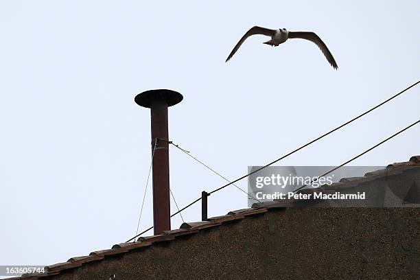 Bird flies next to the chimney on the roof of the Sistine Chapel as the College of Cardinals attempt to elect a new Pope on March 13, 2013 in Vatican...
