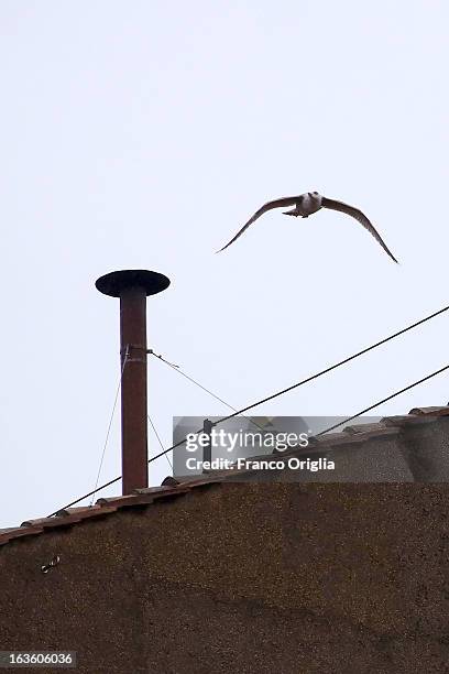 Bird flies away after sitting on the chimney on the roof of the Sistine Chapel during the evening of the second ballot of the Cardinals' secret...