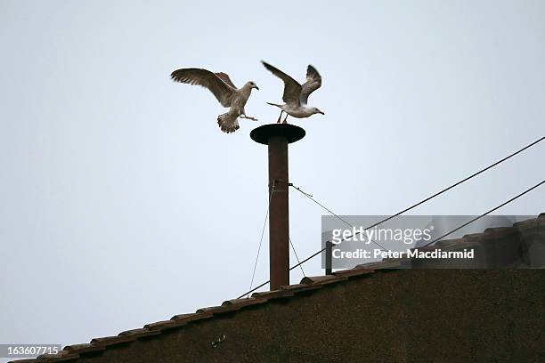 Birds fly off the chimney on the roof of the Sistine Chapel as the College of Cardinals attempt to elect a new Pope on March 13, 2013 in Vatican...