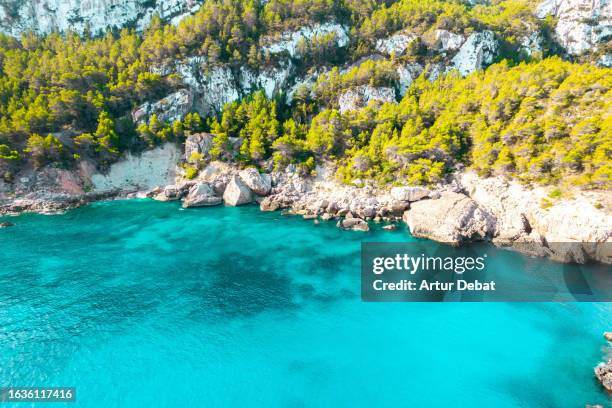 aerial view of the ibiza coastline with turquoise water and pine trees. - bay of water fotografías e imágenes de stock