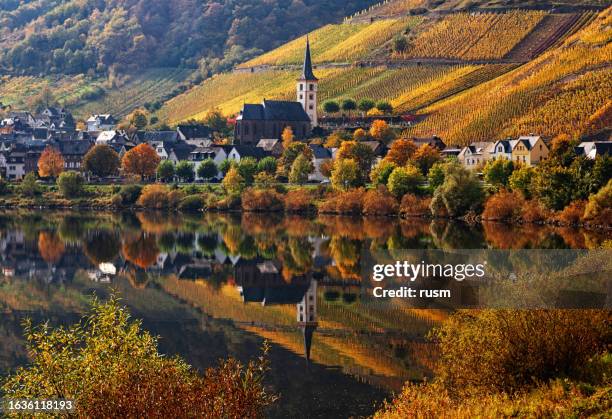 bremmstadt und weinberge im moselweintal im herbst - fluss mosel stock-fotos und bilder