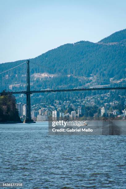 pov of lions gate bridge in vancouver - vancouver lions gate stock pictures, royalty-free photos & images