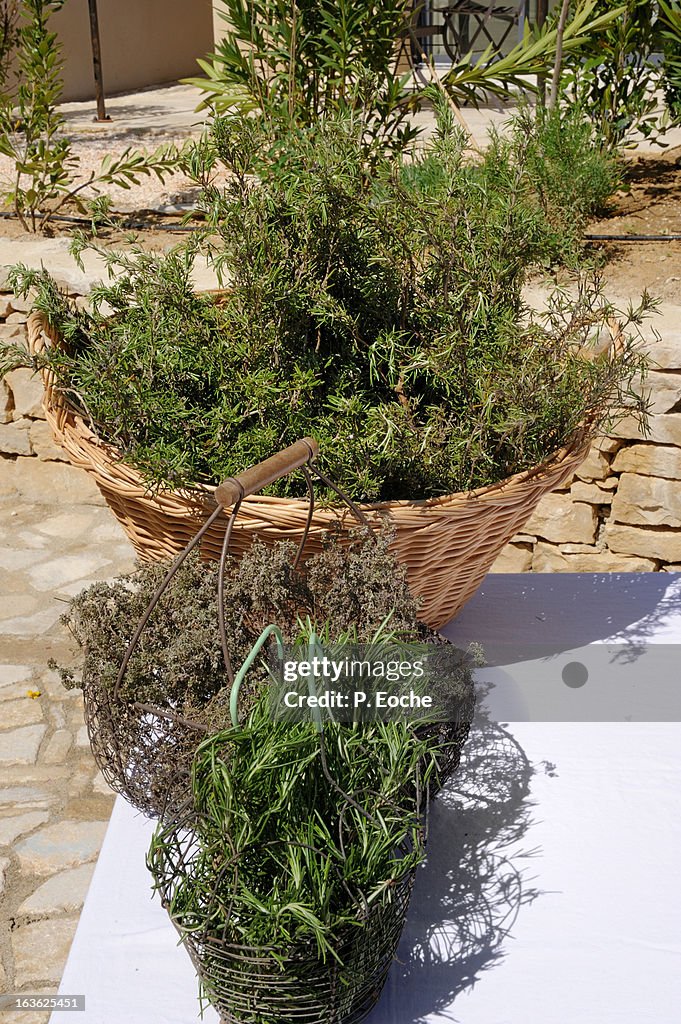 Aromatic herbs, tarragon, chives ... , Provence, S