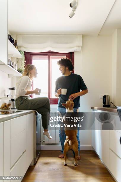 loving scene of happy couple having breakfast at morning with brown dog at modern white kitchen - vita domestica fotografías e imágenes de stock