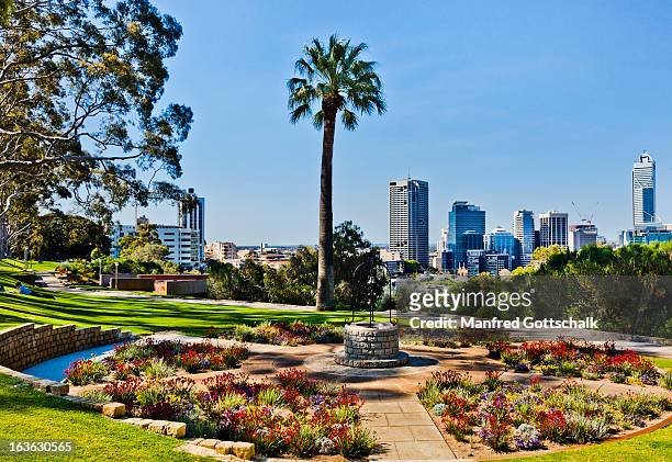 kings park perth - perth australia stock pictures, royalty-free photos & images