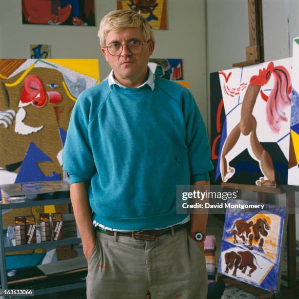 English artist David Hockney, 1988.