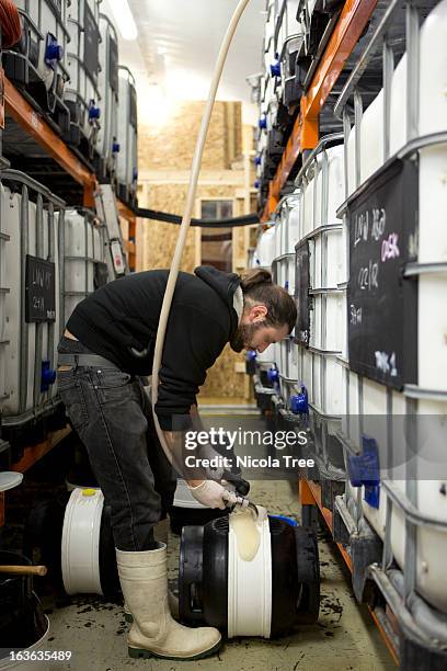 a brewery technician filling a cask with beer - nicola beer fotografías e imágenes de stock