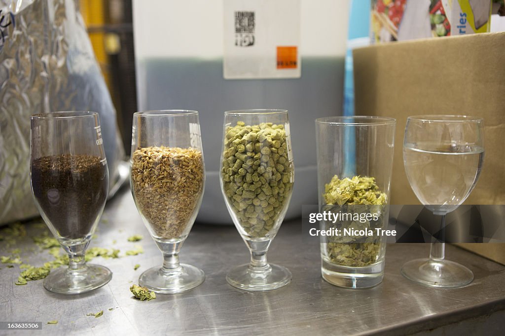 Different grains and hops in a micro brewery