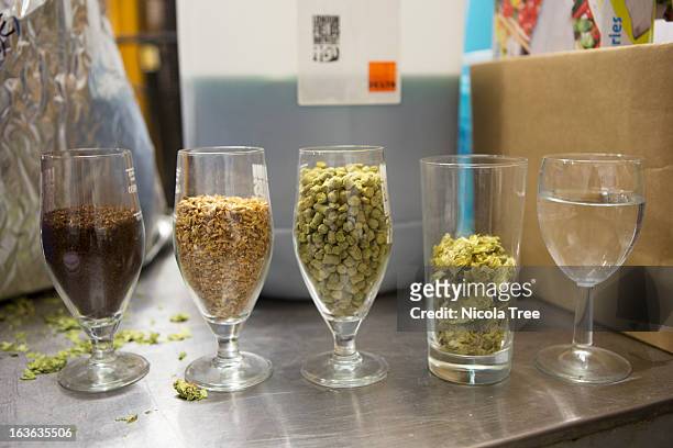 different grains and hops in a micro brewery - nicola beer stock pictures, royalty-free photos & images
