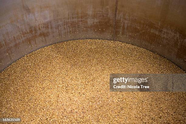 millet in brewing tank in micro brewery - nicola beer fotografías e imágenes de stock