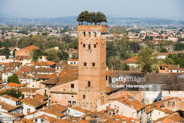 view of torre (tower) guinigi - lucca foto e immagini stock