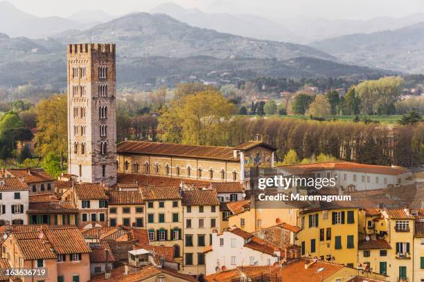 the bell-tower of san frediano church - lucca stock pictures, royalty-free photos & images