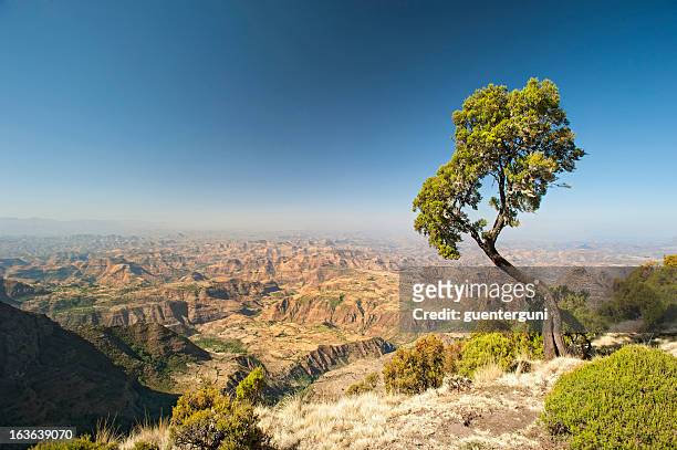 a large and wide mountain range in ethiopia  - ethiopia stockfoto's en -beelden