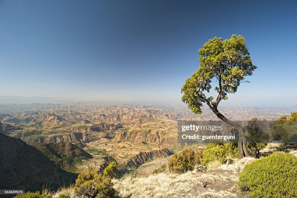 A large and wide mountain range in Ethiopia 